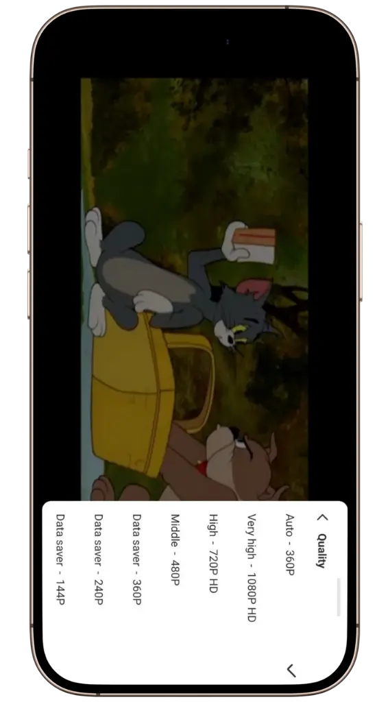 Multiple Video Resolutions